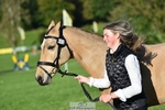 442-BICTON.INCREDIBLY.DUN-millie.jo.challinor-TrotUp+SJ portfolio