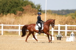 SBM_018317