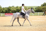 SBM_007542