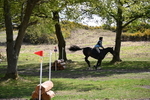 WJ6_9866