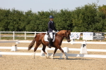 SBM_005800