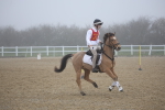 SBM_000960