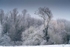 Frosty landing
