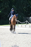 Section A British Young Rider 3 Star portfolio
