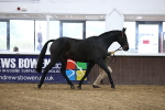 SBM_5742
