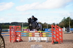 SUN Cls 7 Pony Foxhunter and 1.10m Open portfolio