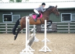 LINK_TO - NorthcoteEC Sunday11thAug'13 SummerPoints ShowJumping portfolio