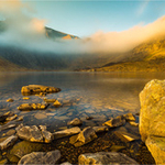 Landscape portfolio