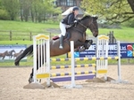 LINK_TO Northcote SnrBS_Jumping Sun28thApril'19 portfolio