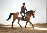 LINK TO - BartonEC Sat7thJuly'12 Dressage portfolio