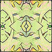 Mandalas portfolio