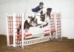 LINK TO - BartonEC Wed17thApril'13 Unaff.ShowJumping portfolio