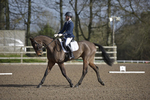 BD Combined Training Qualifier Bicton Arena 05-03
