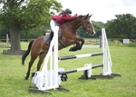 LINK TO - Barton EC, Saturday_9th_July_'11 Unaff._Show_Jumping portfolio