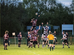 Dunstablians Rugby Club portfolio