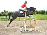 LINK_TO HarrogateRC Sun9thJune19 Club&BS_SnrJumping portfolio