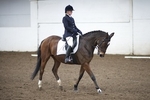LINK TO - Barton_EC Sat_5th_Nov_'11 Dressage_TB&CH_GB portfolio