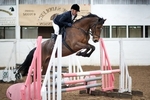 LINK TO - BartonEC 26th_Feb'12 WinterRC ShowJumping portfolio