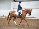 LINK_TO BatonEC Sat21stMay'16 Unaff.Dressage portfolio