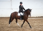 LINK_TO - BartonEC Sat20thSept'14 SummerRC_Dressage portfolio