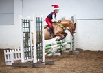 LINK_TO - BartonEC Sat14thDec'13 Unaff.ShowJumping portfolio