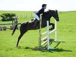 LINK_TO LancasterPonyClub Sat14thMay'16 MayDayShow portfolio