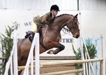 LINK TO - BartonEC Sat 10thMarch'12 BSPS_WorkingHunter portfolio