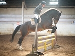 LINK_TO - Barton Sat15thOct'16 Unaff.ShowJumping portfolio