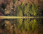 The Langley Reservoirs portfolio