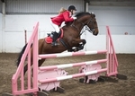 LINK TO - Barton EC Sun_11th_Sept '11 Unaff.ShowJumping portfolio