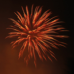Fire Element portfolio