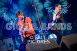 WE ARE SCIENTISTS portfolio
