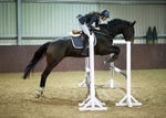 LINK_TO - EquestrianEvents November'13 portfolio