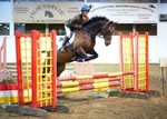LINK TO - BartonEC Wed29thMay'13 Unaff.ShowJumping portfolio