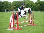 LINK_TO LancasterPonyClub MayDayShow Monday6thMay'19 portfolio