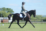 B&SV PC Area 14 Dressage Qualifiers 02-07-2017