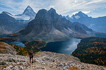 From the Trail portfolio