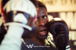 Men Who... Fight portfolio