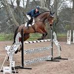 Bicton Arena BS Seniors Feb 2017