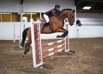 LINKS TO - Equestrian Events June'12 portfolio