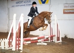 LINK TO - BartonEC Wed29thAug'12 Unaff.ShowJumping. portfolio