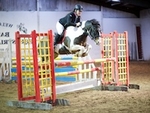 LINK__TO Barton 28thNov'15 Unaffiliated ShowJumping portfolio
