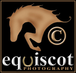 PORTRAIT & MONTAGE
