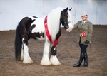 LINK TO - BartonEC_Sun9thDec'12 WinterRC_Showing portfolio