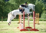 LiINK_TO ArthingtonShow Sun3rdJuly'16 SnrBS_Jumping portfolio