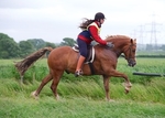 LINK TO - CockerhamCharityRide Sunday23rdJune'13 portfolio