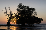 East Timor portfolio