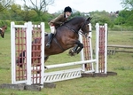 LINK TO - BartonEC Sat19thMay'12 T'Blazers_WorkingHunters portfolio