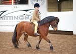LINK TO - Barton_Sun_22nd_Jan'12 BSPS_NPS_CHAPS_Quals portfolio