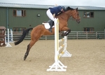 LINK_TO - EquestrianEvents September'13 portfolio